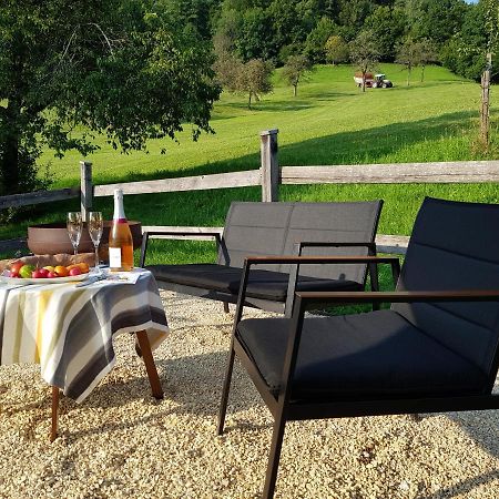 Business Apartment Schwarzach Kültér fotó